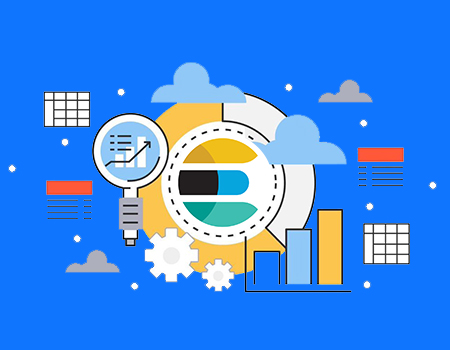 Who uses Elastic currently and for what?